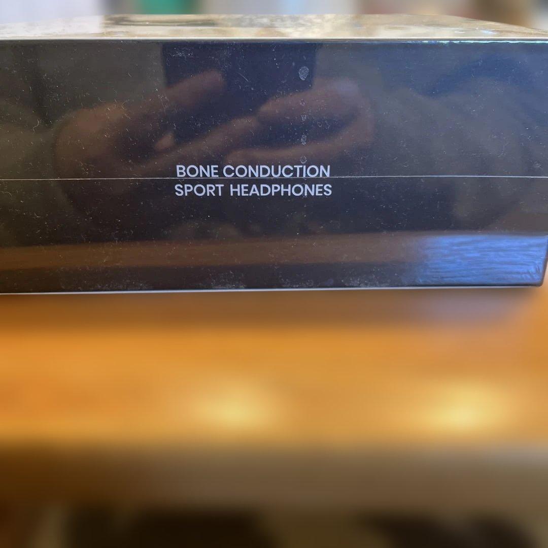 イヤホン OpenRun Pro Mini