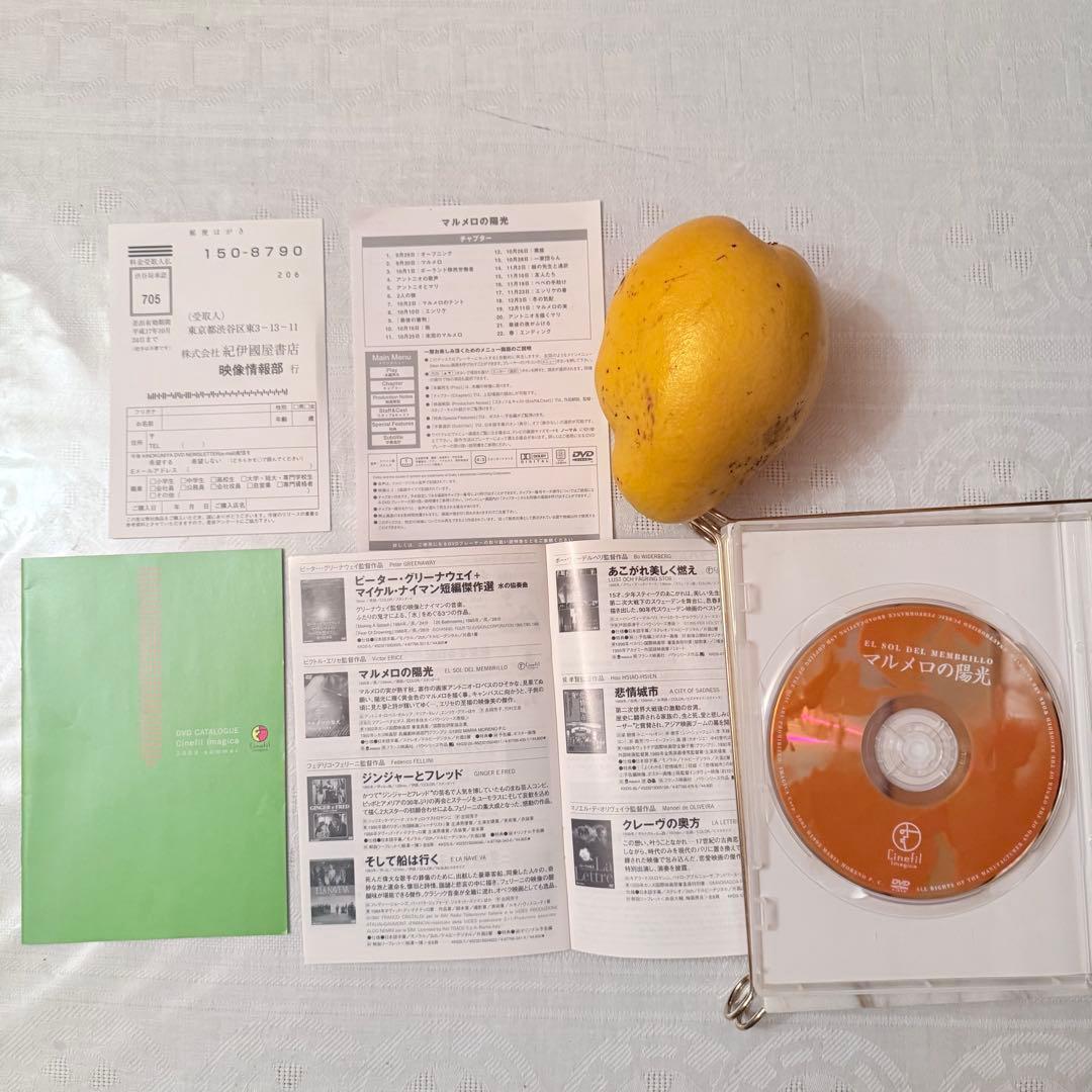 p*e様 雪解特価‼️幻の傑作‼️「マルメロの陽光('92スペイン)」ヴィクトル