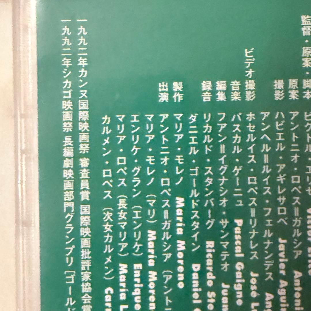 p*e様 雪解特価‼️幻の傑作‼️「マルメロの陽光('92スペイン)」ヴィクトル