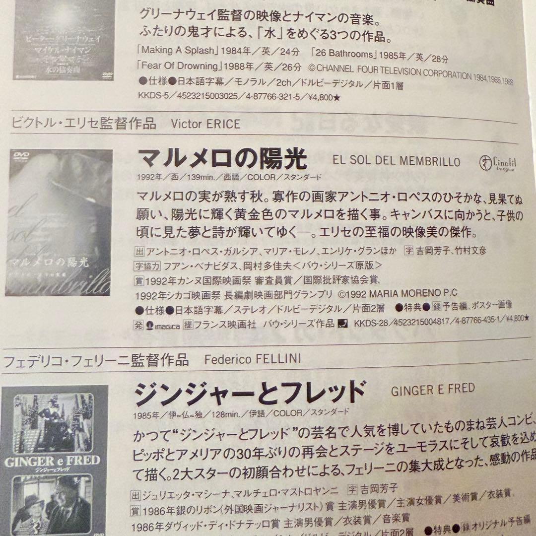 p*e様 雪解特価‼️幻の傑作‼️「マルメロの陽光('92スペイン)」ヴィクトル