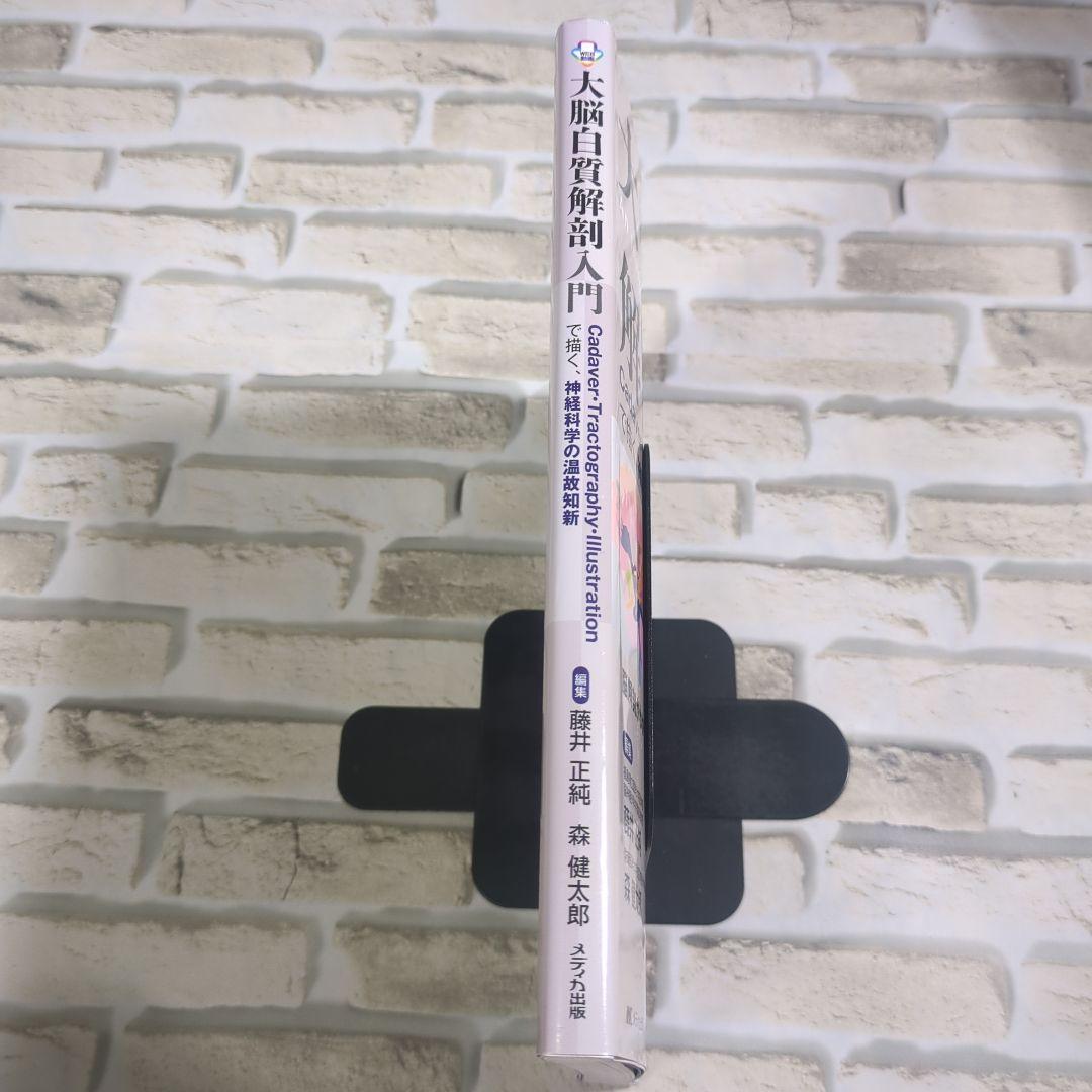 大脳白質解剖入門