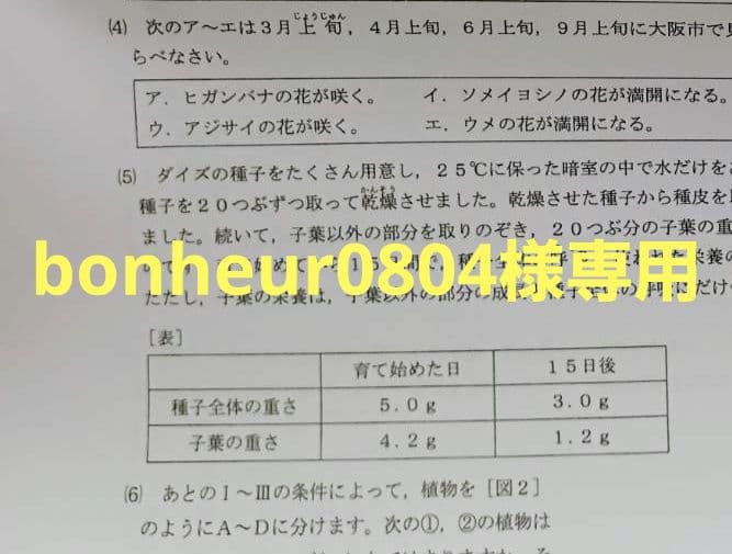 語学・辞書・学習参考書 bonheur0804