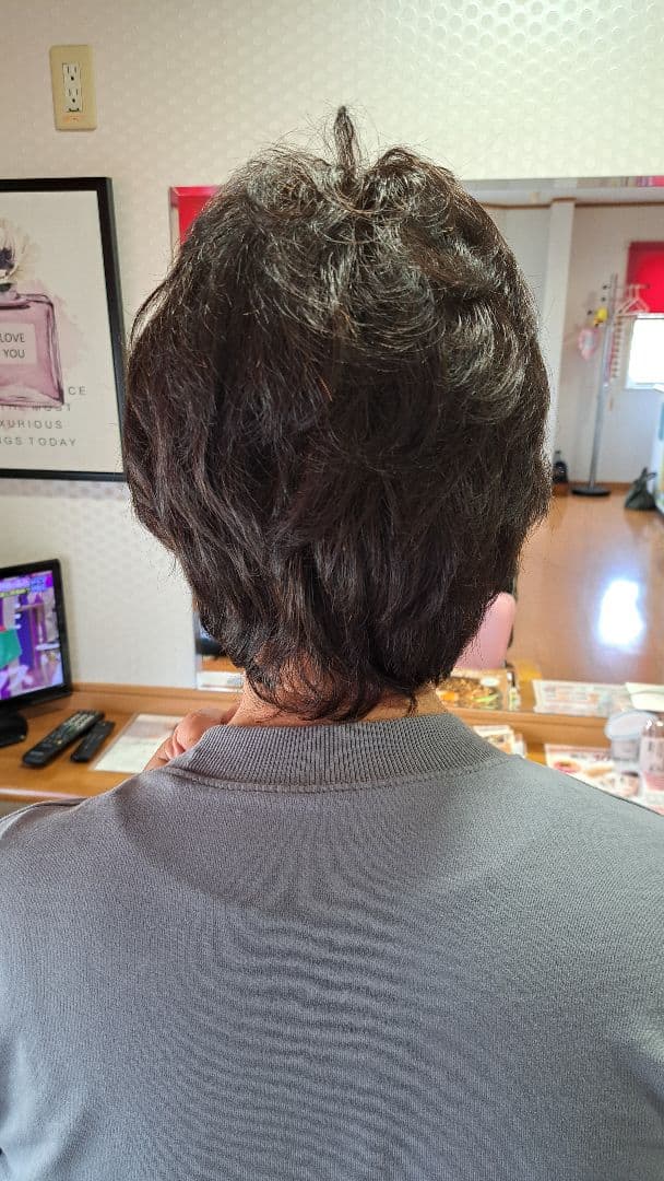 ショートウィッグ フォンテーヌダークブラウン 自然色