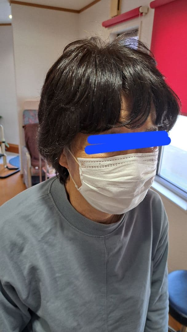 ショートウィッグ フォンテーヌダークブラウン 自然色