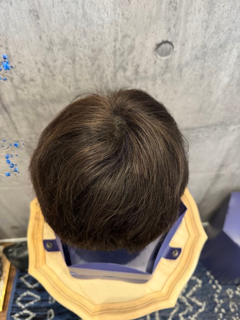 (41) FONTAINE MS 08 F4 フルウィッグ フォンテーヌ