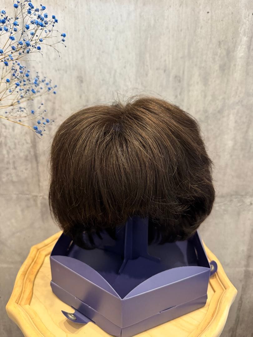 (41) FONTAINE MS 08 F4 フルウィッグ フォンテーヌ