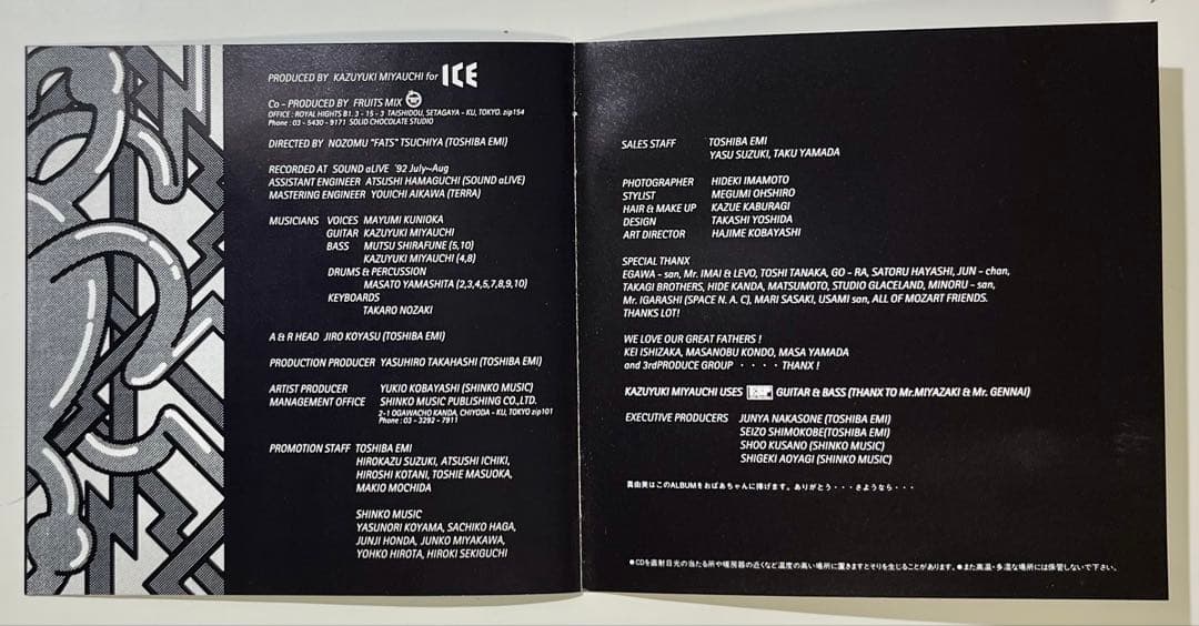 ICE「ICE【希少・初回盤】」「We're in the Mood」2枚セット