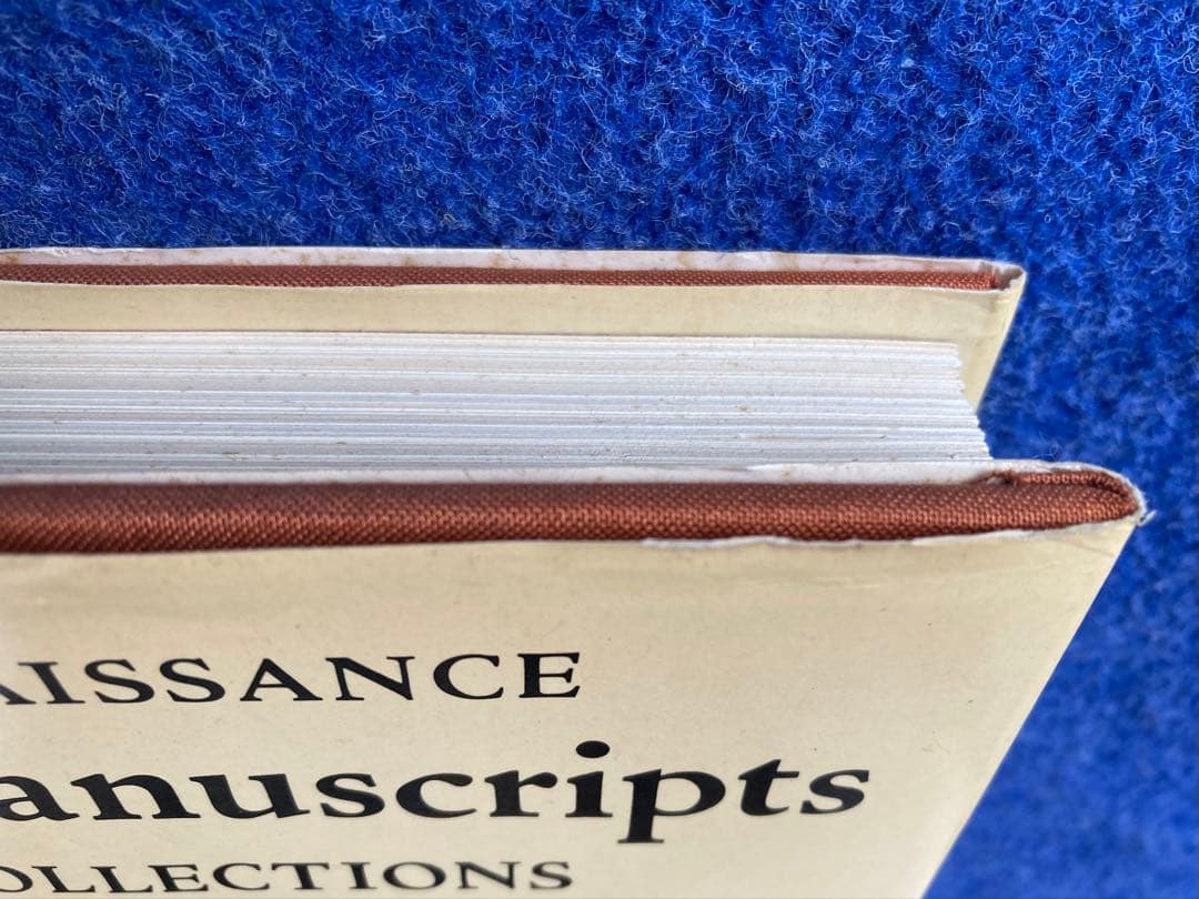 洋書 Illuminated Manuscripts