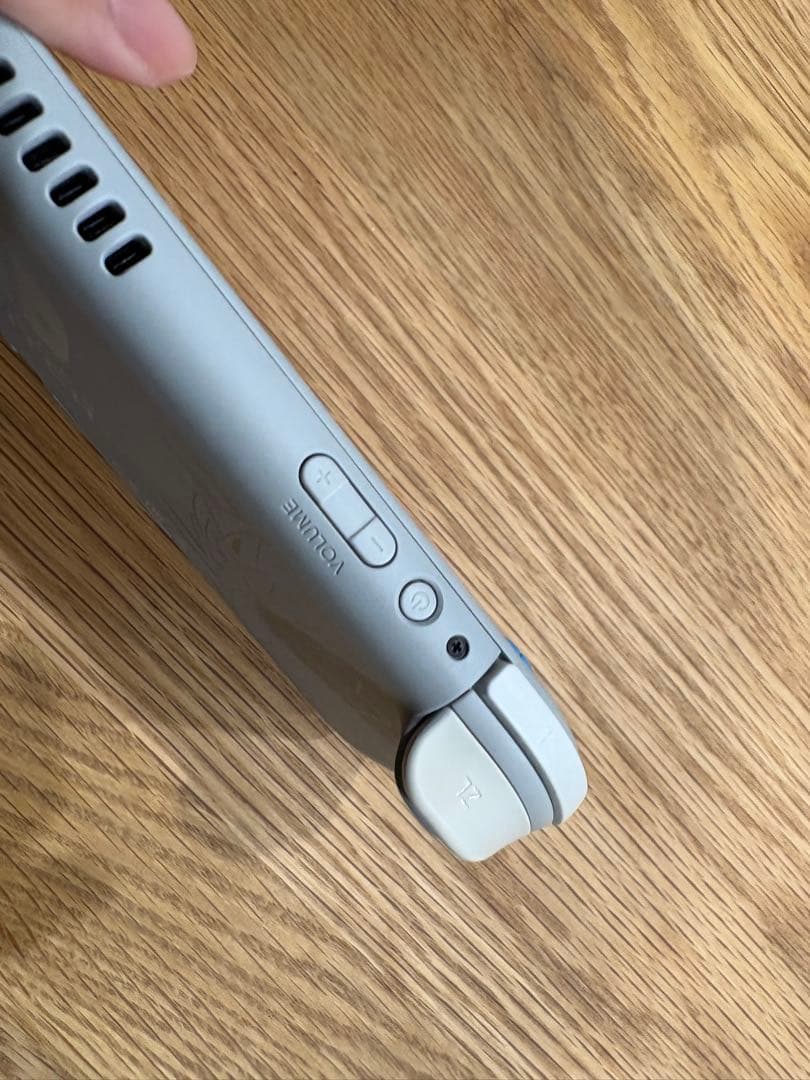 Nintendo Switch Lite 特別デザイン グレー