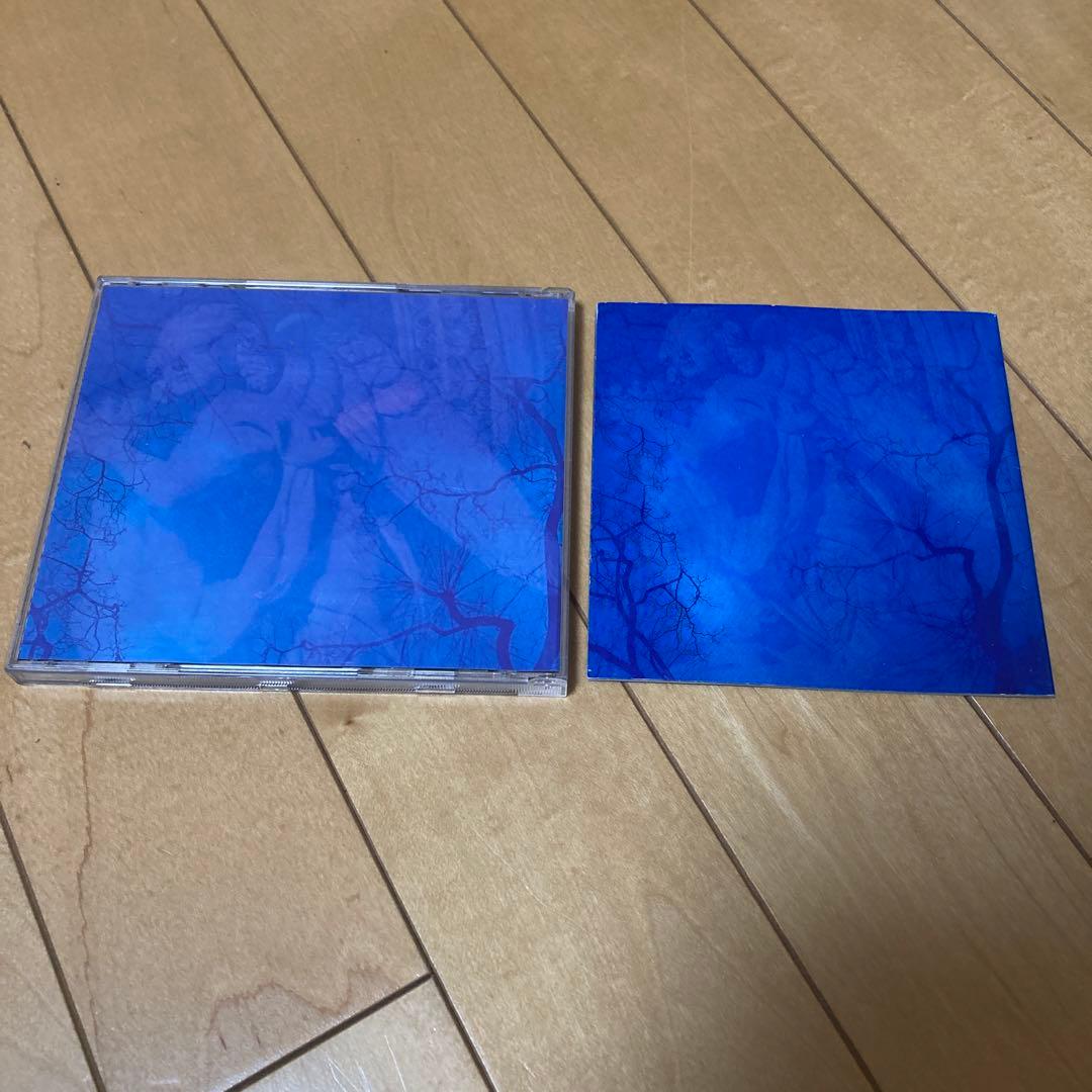 今旬、インディーズ盤、初回盤、LUNA SEA、写真集、クリアタグ付き‼️