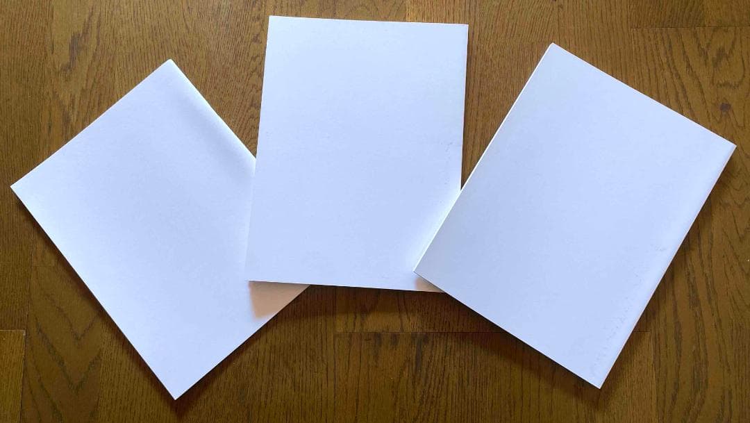 エディ・スリマン「 Rock Diary」Hedi Slimane