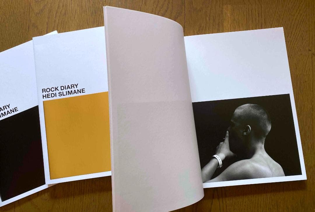 エディ・スリマン「 Rock Diary」Hedi Slimane