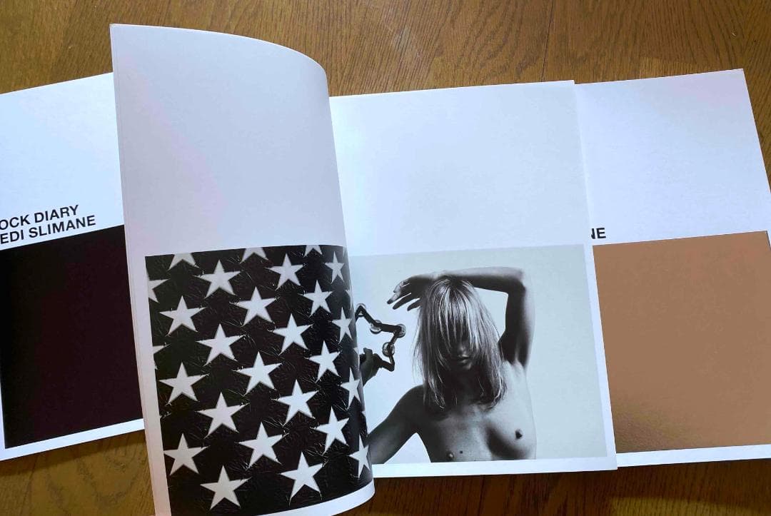 エディ・スリマン「 Rock Diary」Hedi Slimane