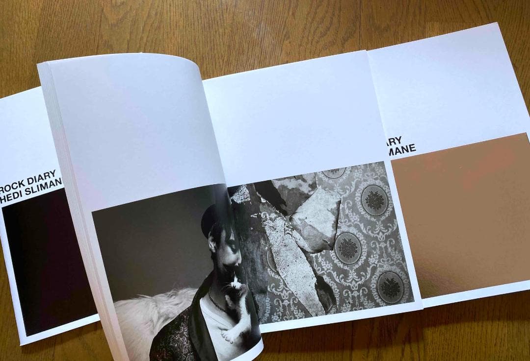 エディ・スリマン「 Rock Diary」Hedi Slimane
