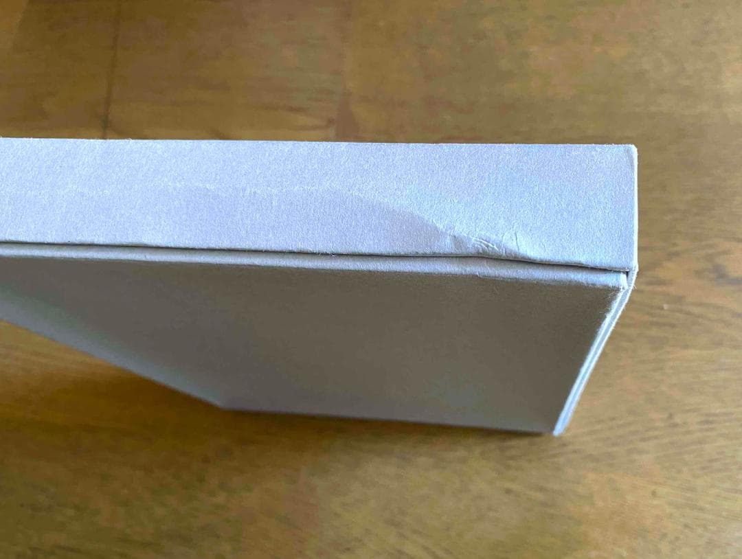 エディ・スリマン「 Rock Diary」Hedi Slimane