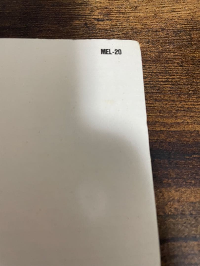 The Blue Hearts レコード　LP オリジナル