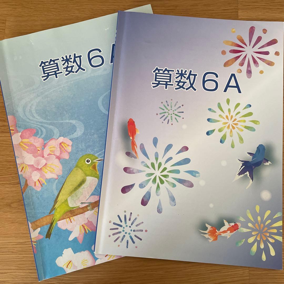 水都国際　咲くやこの花　開成教育セミナー　6年生　テキスト　まとめ　中学受験