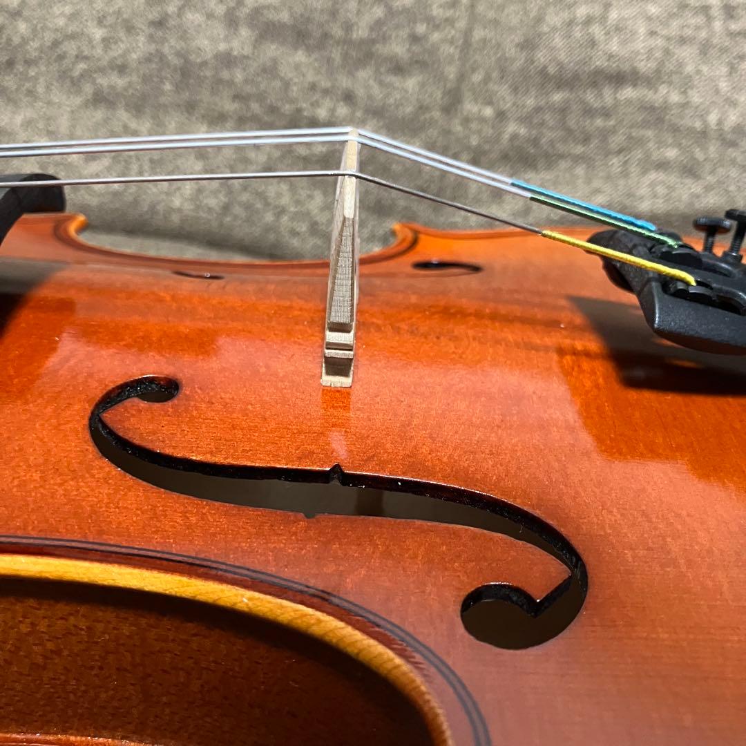 Eastman SVL80セット　4/4