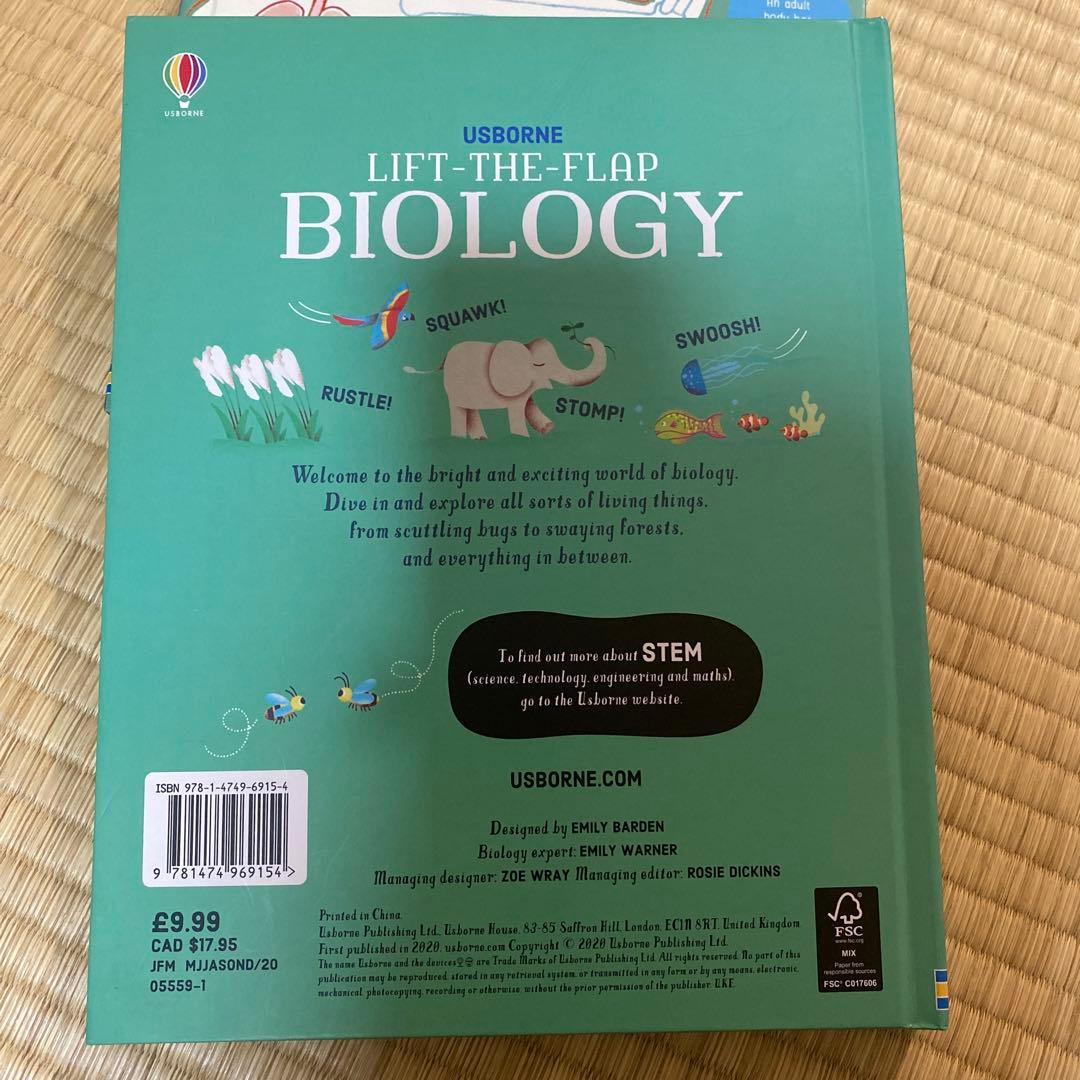 英語絵本Usborne フラップ絵本セット 6冊