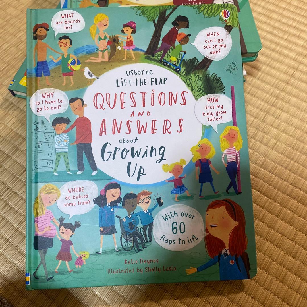 英語絵本Usborne フラップ絵本セット 6冊