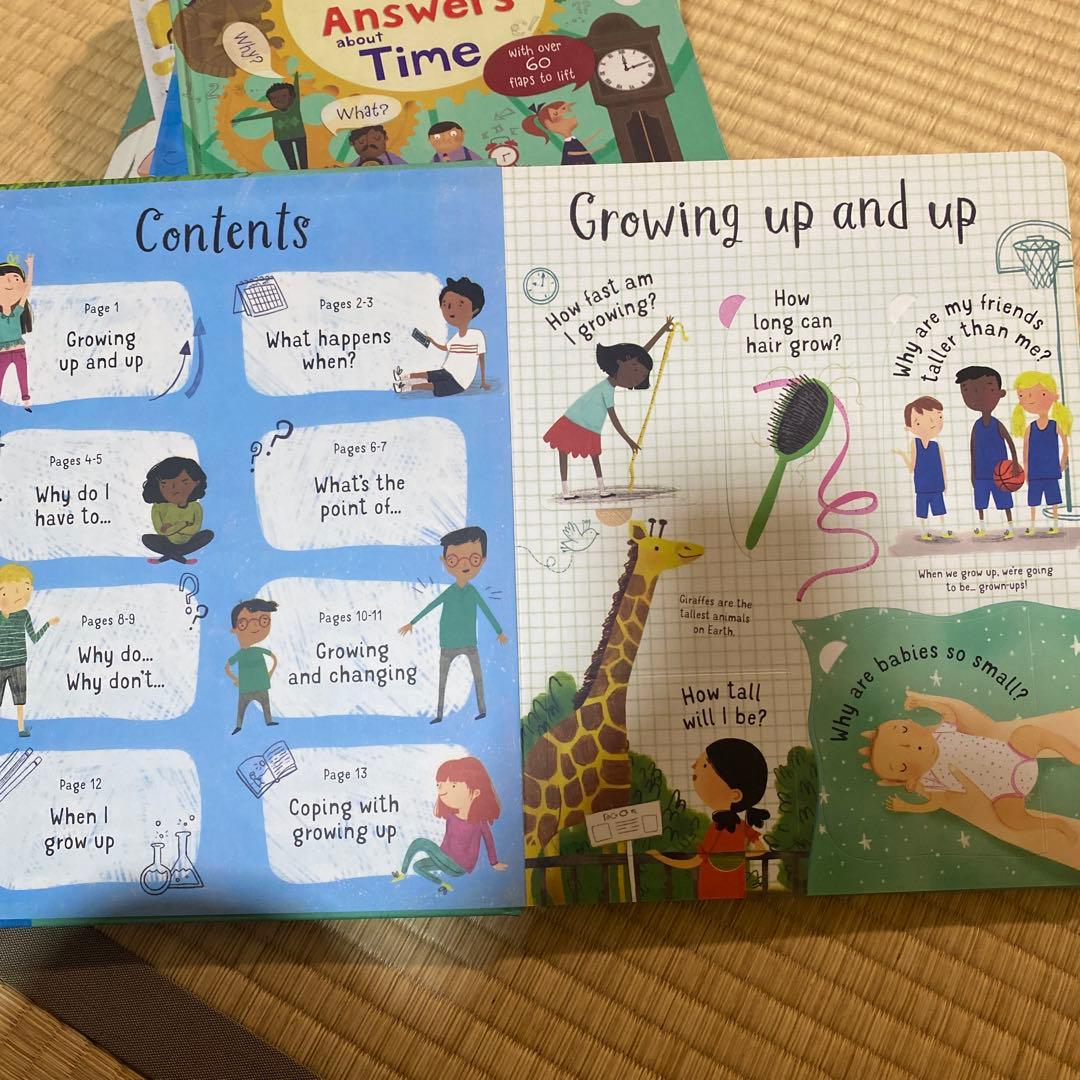 英語絵本Usborne フラップ絵本セット 6冊