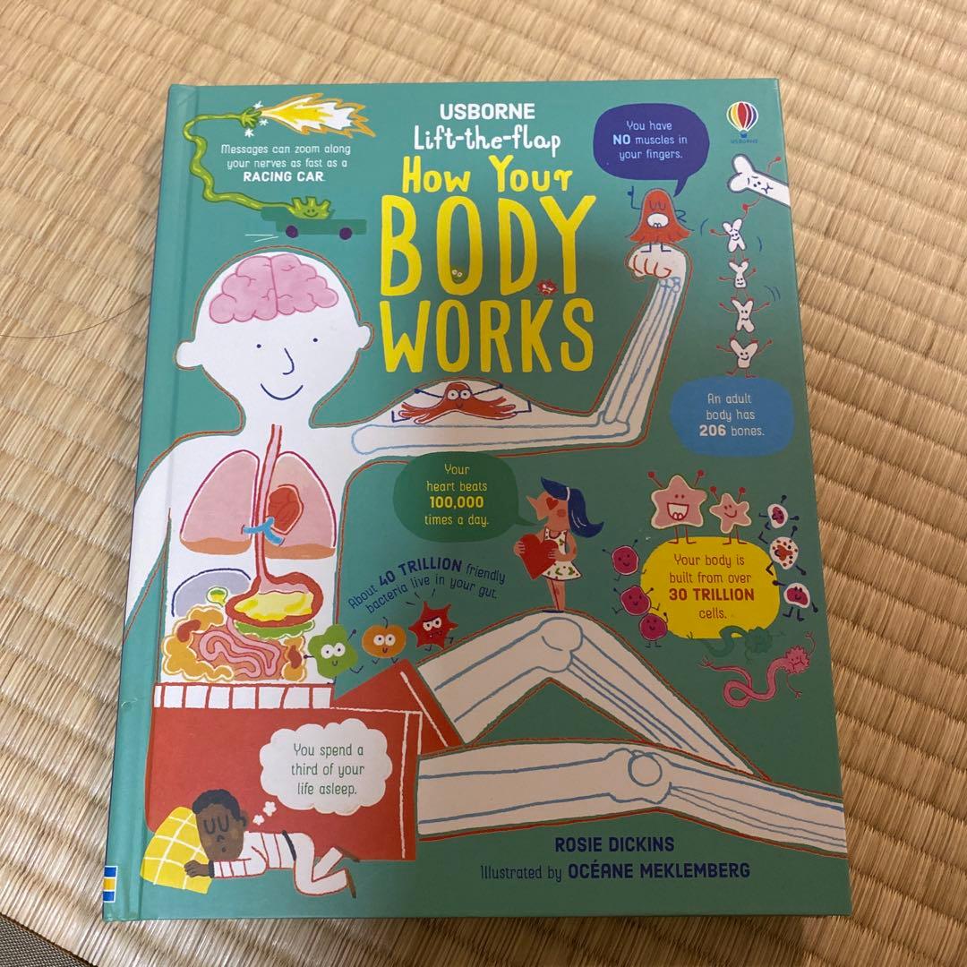 英語絵本Usborne フラップ絵本セット 6冊