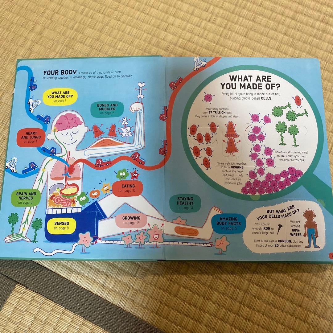 英語絵本Usborne フラップ絵本セット 6冊