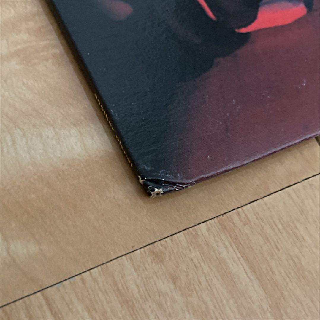 MURPHY'S LAW[マ－フィ－ズロウ] LP カラ－盤 貴重