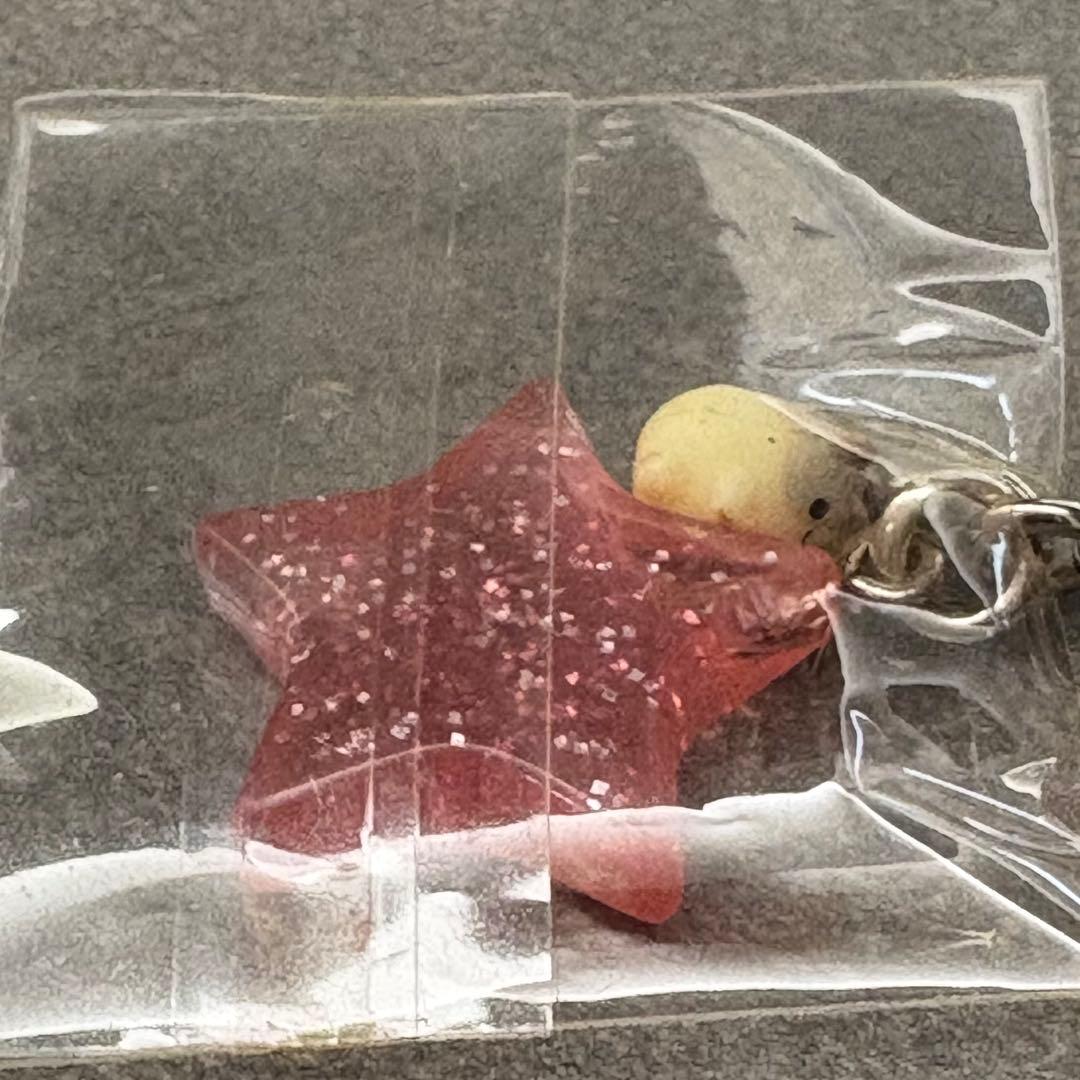 専用　ウキウキ占いシリーズ　ハムちゃん風水