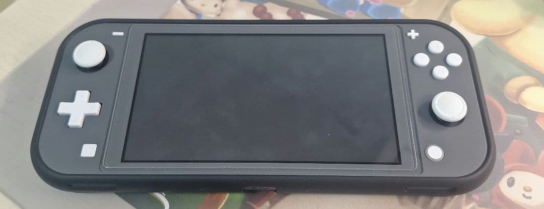 Nintendo Switch Lite グレー 本体 充電器とカバー付き