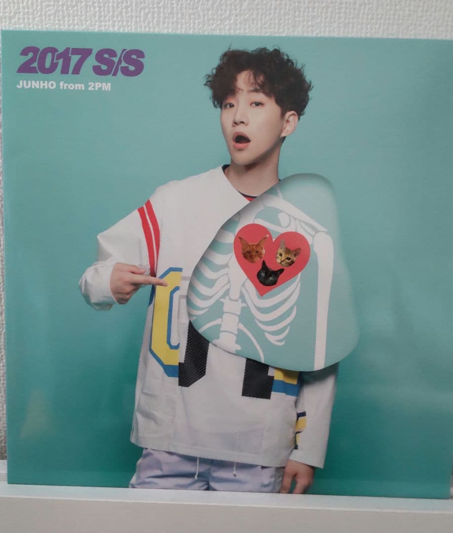 ジュノ 2017 S/S LP盤