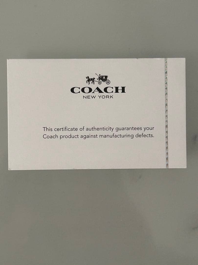 COACH ミニ シエラ サッチェル クロスグレイン レザー