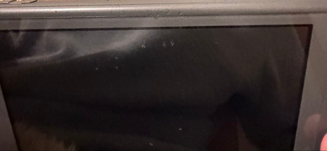 Nintendo Switch Lite ブラック ジャンク品