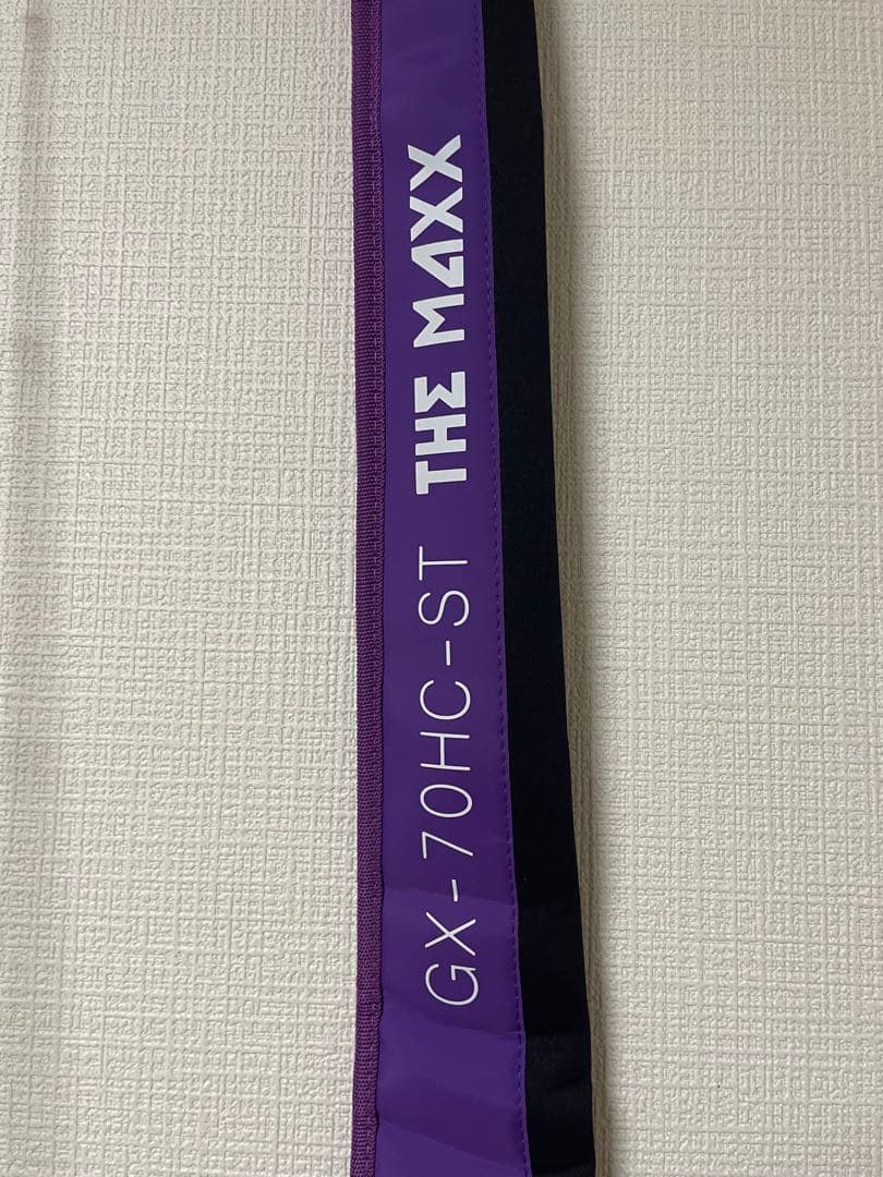 MAXIMUM THE MAXX バスロッド　RAIDJAPAN ザマックス