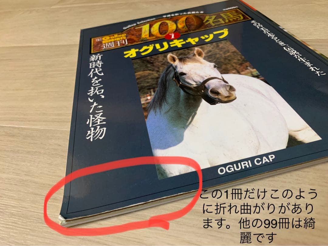 Gallop臨時増刊【週刊100名馬】100冊セット　ウマ娘