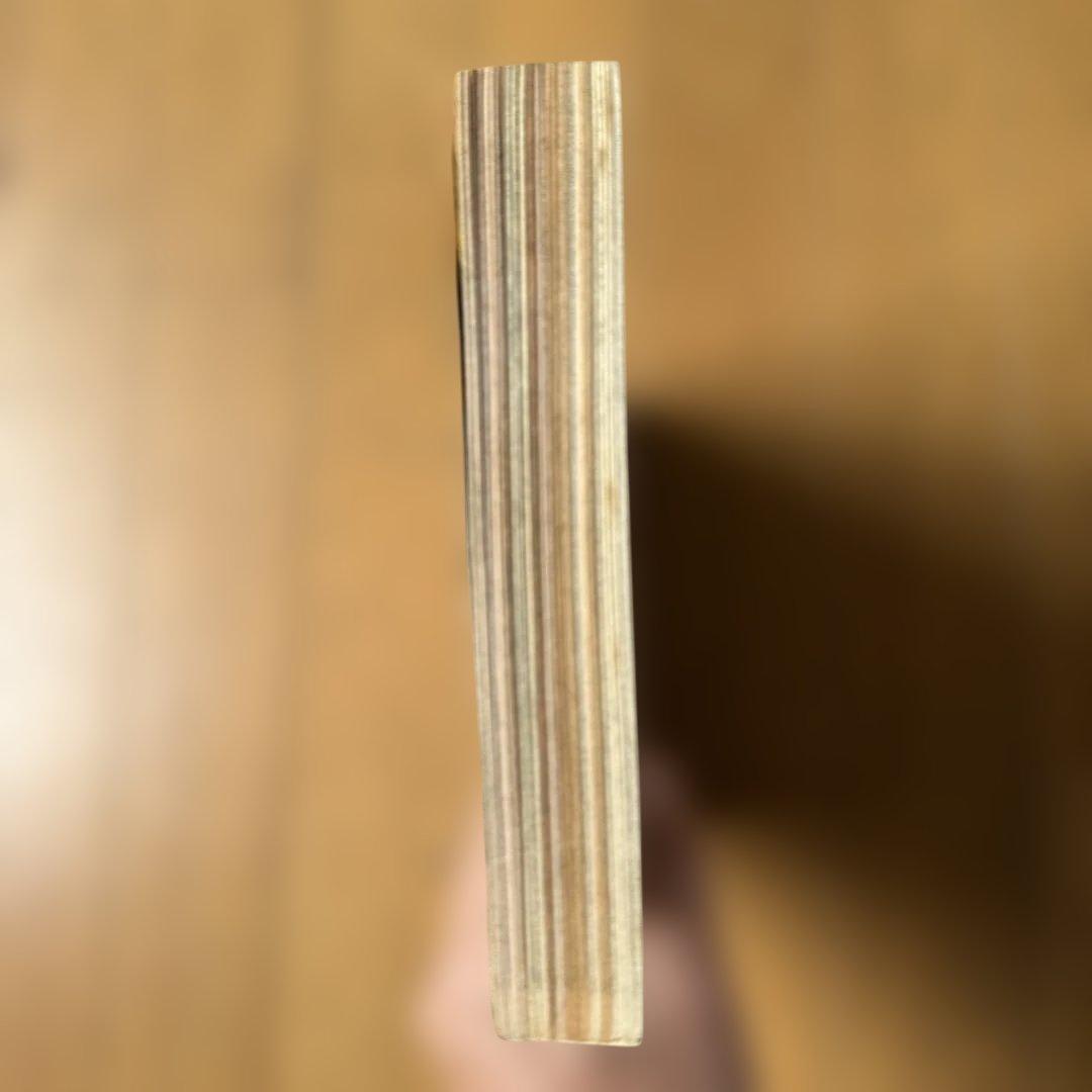 週刊少年ジャンプ 1998年27号 たけし！表紙号 ONE PIECE掲載