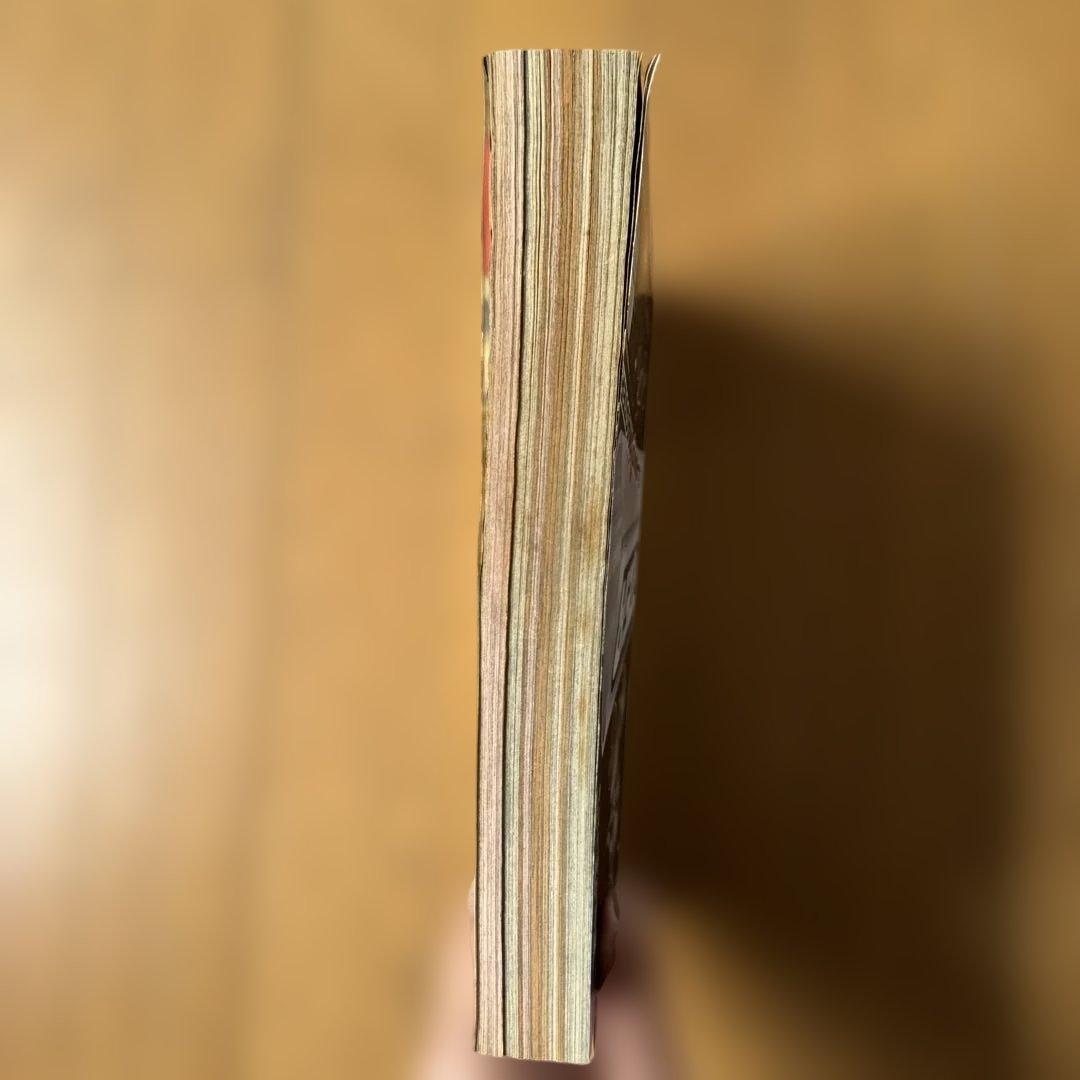 週刊少年ジャンプ 1998年27号 たけし！表紙号 ONE PIECE掲載