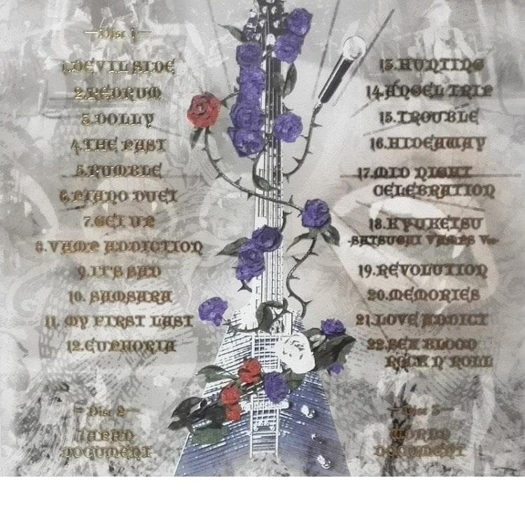 新品未開封★初回限定 3枚組 DVD-BOX★VAMPS LIVE 2010