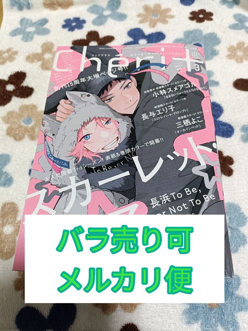 バラ売り可 シェリプラス 2026年3月号 切り取りあり