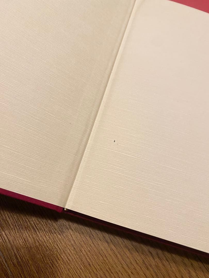 Banjos The Tsumura バンジョー 津村昭 英語版