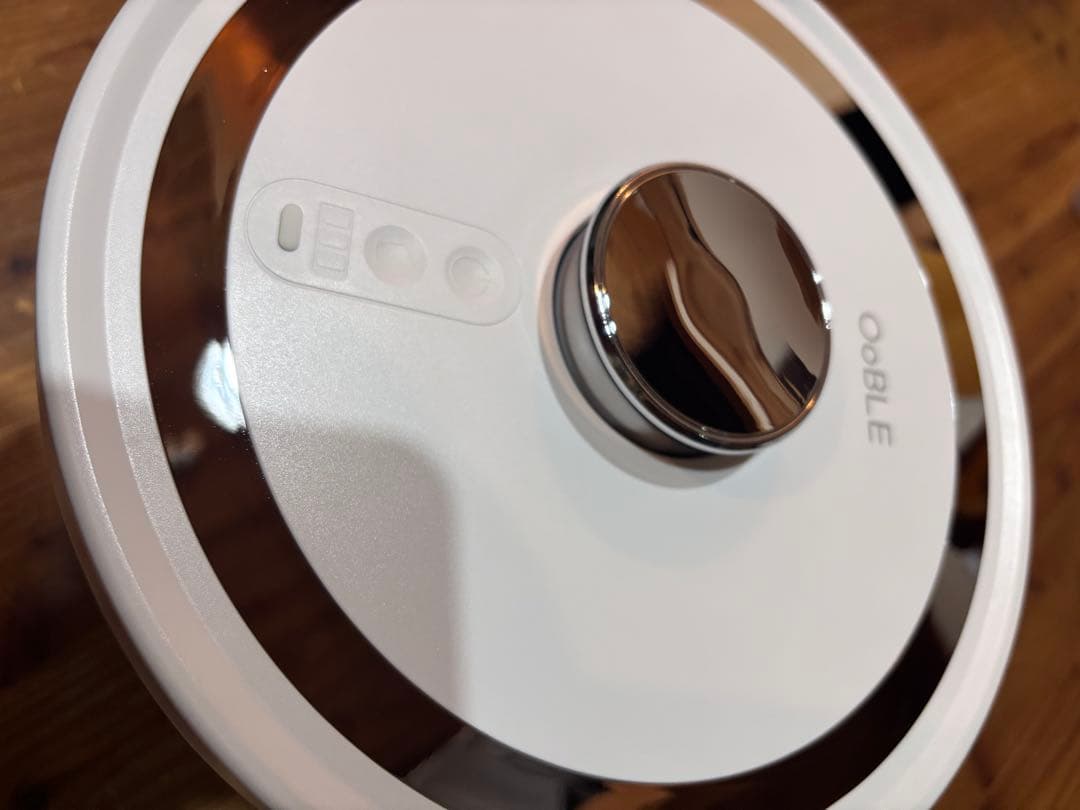 OoBLE ステンレス真空保存容器 未使用品！