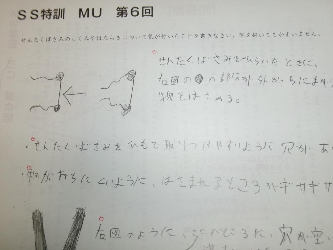 サピックス＊難関校ＳＳ特訓＊6年 理科／武蔵 対策プリント ６回＊記述問題対策