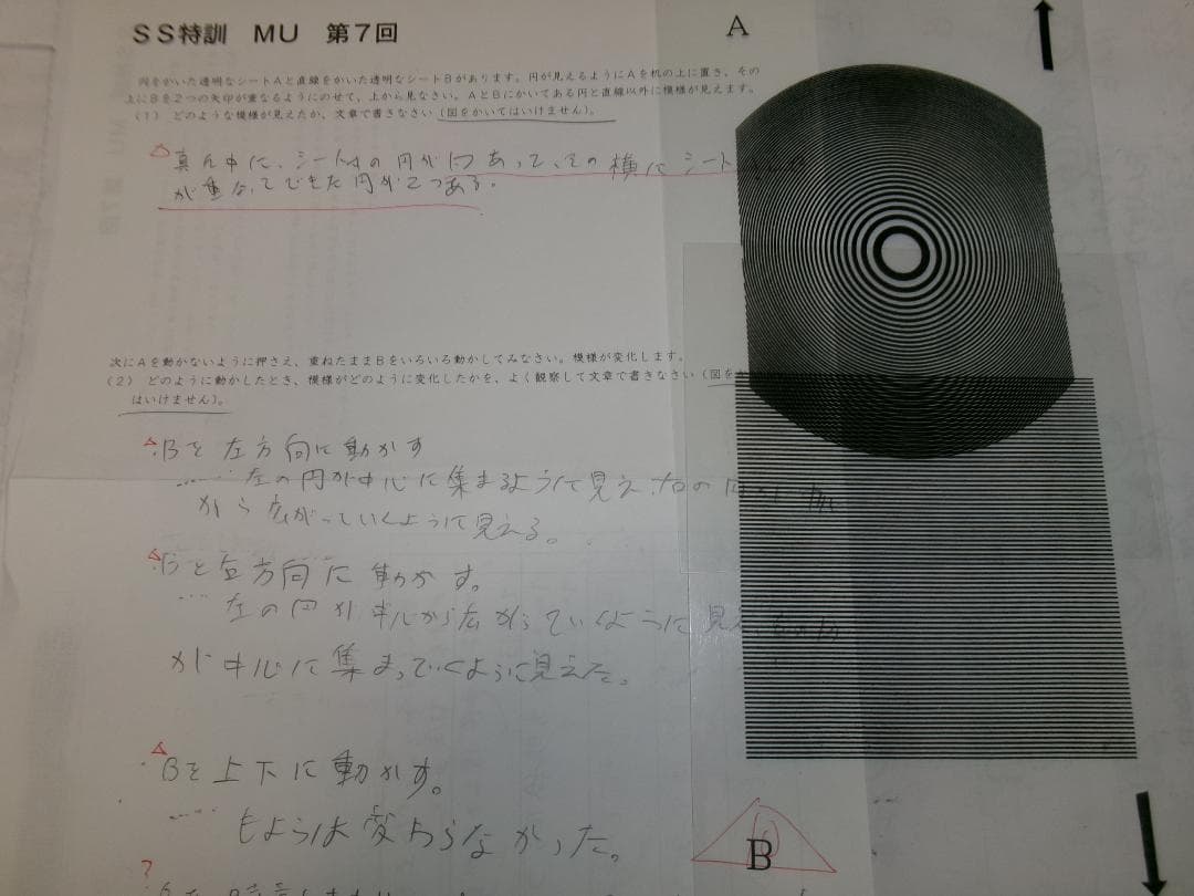 サピックス＊難関校ＳＳ特訓＊6年 理科／武蔵 対策プリント ６回＊記述問題対策