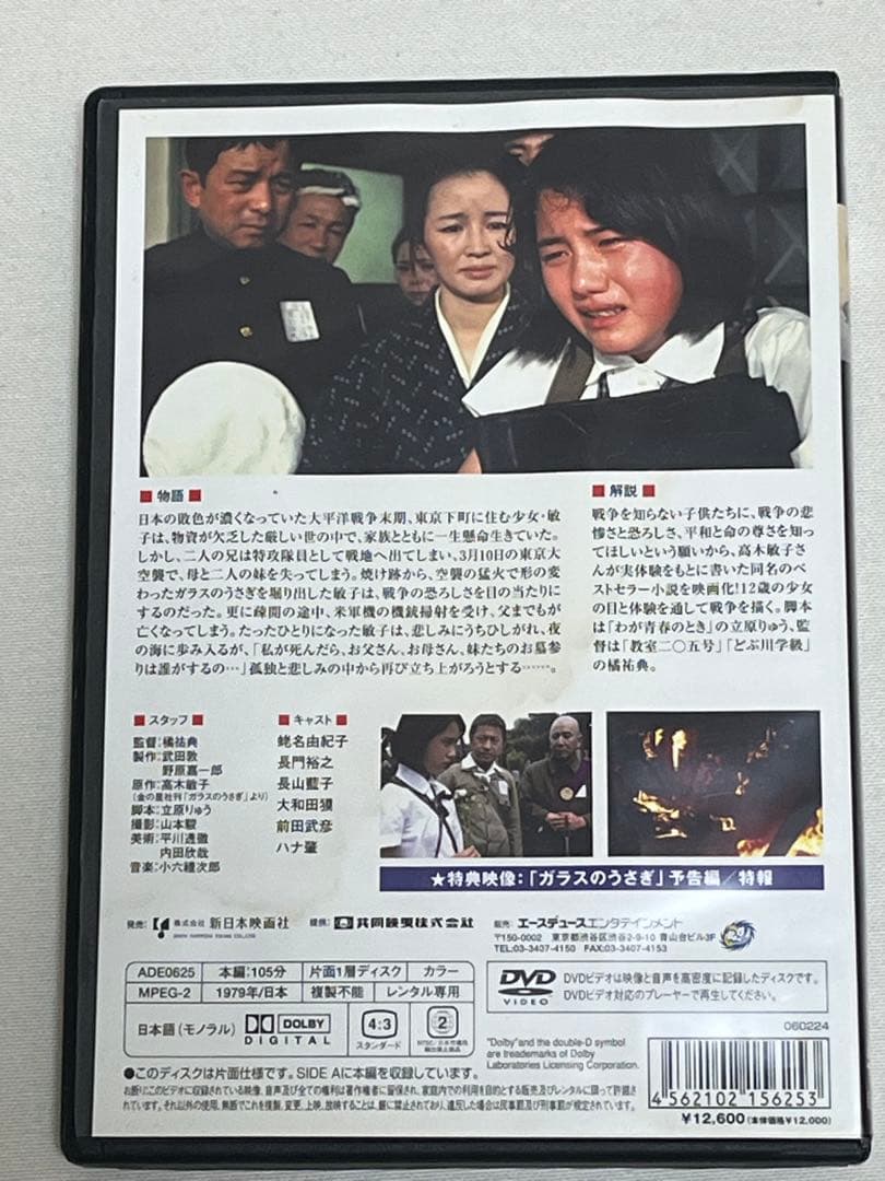 ガラスのうさぎ('79大映映像/共同映画全国系列会議) 東京大空襲　[DVD]