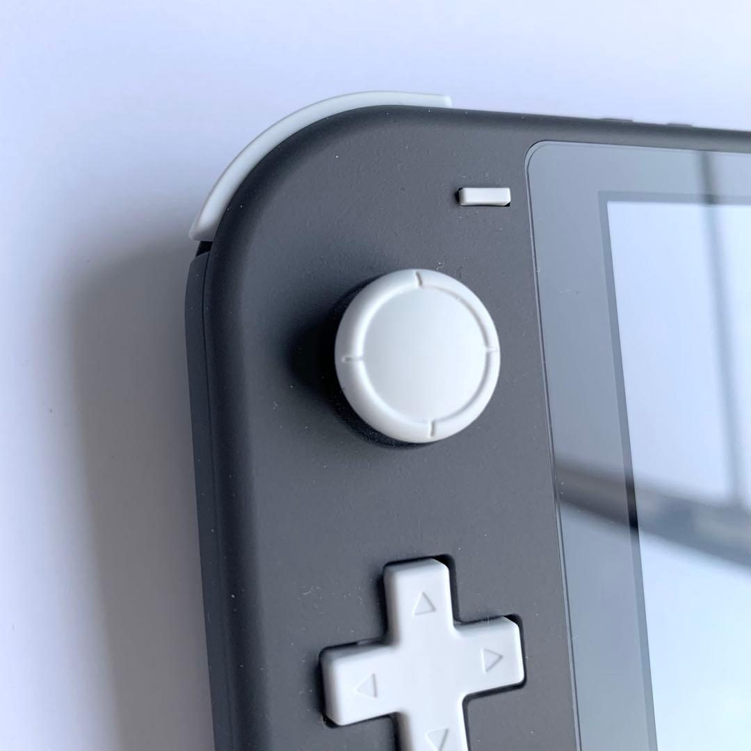 Nintendo Switch Lite 本体 グレー(充電器・ケース付き)