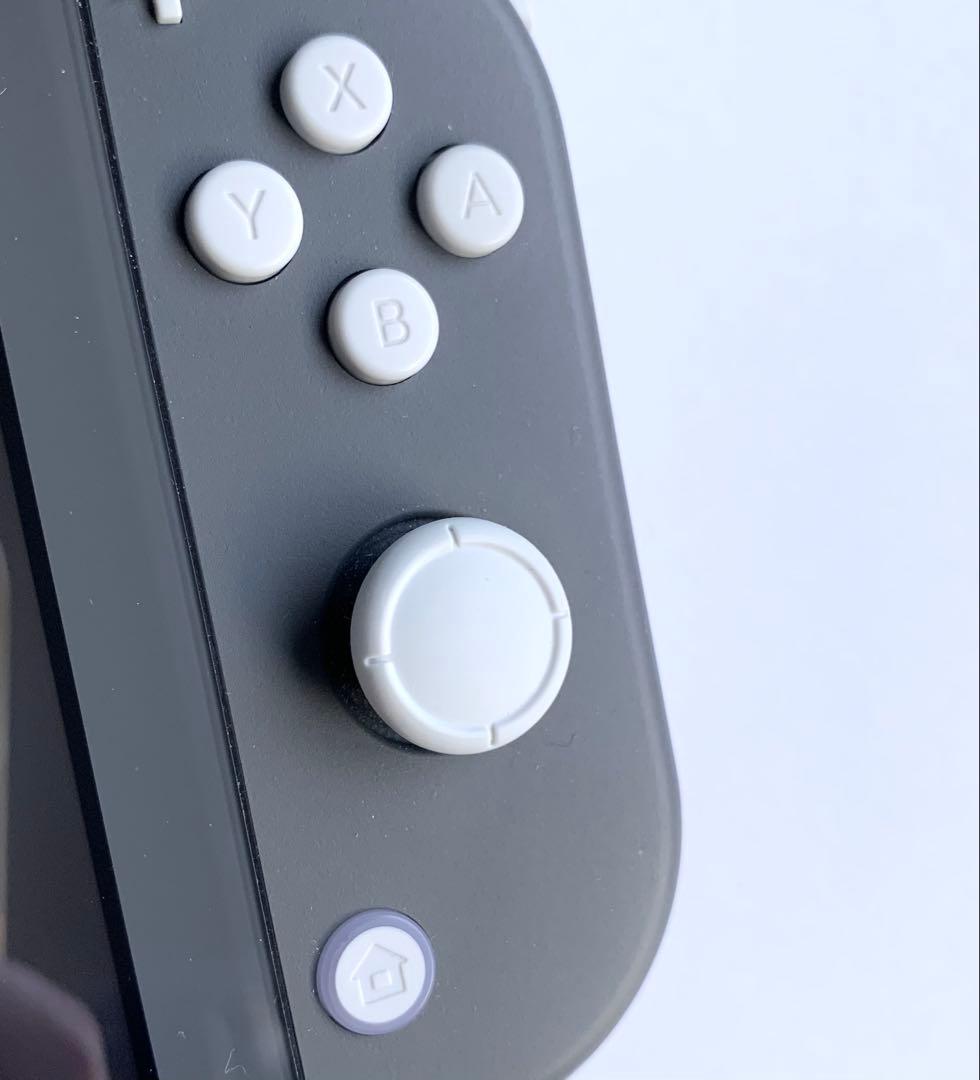 Nintendo Switch Lite 本体 グレー(充電器・ケース付き)