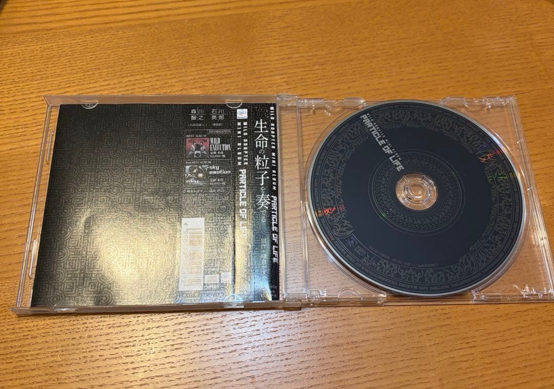 WILD ADAPTER ミニアルバム 2枚セット