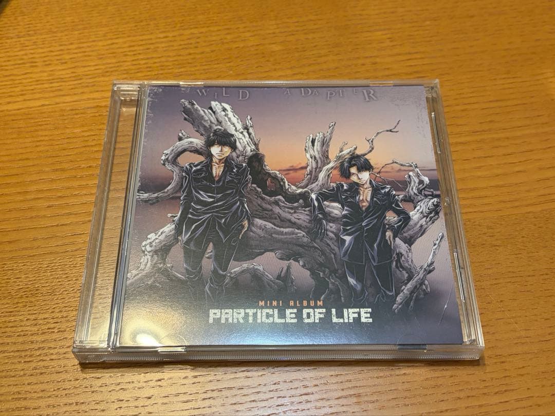 WILD ADAPTER ミニアルバム 2枚セット