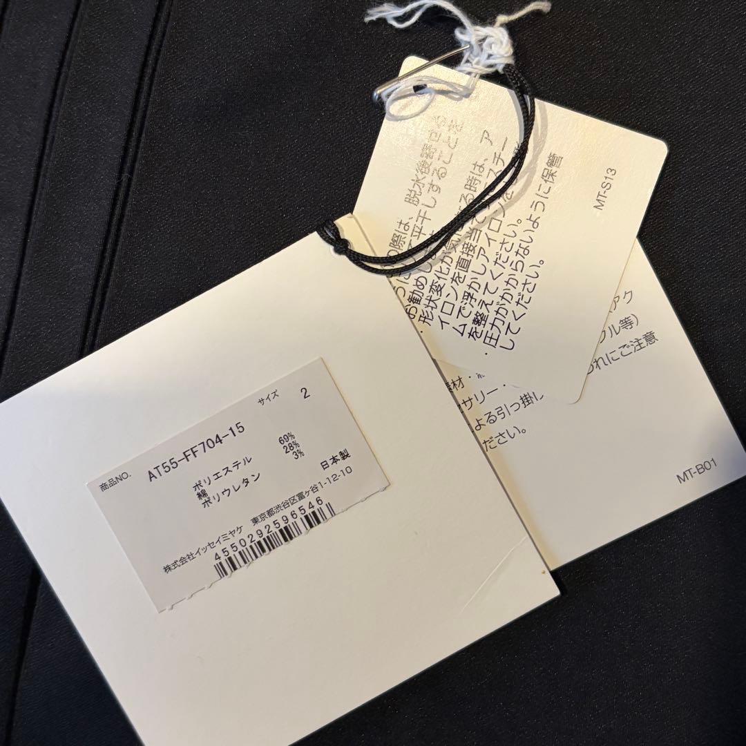 【美品】イッセイミヤケ A-POC TYPE-S クロップドパンツ ブラック