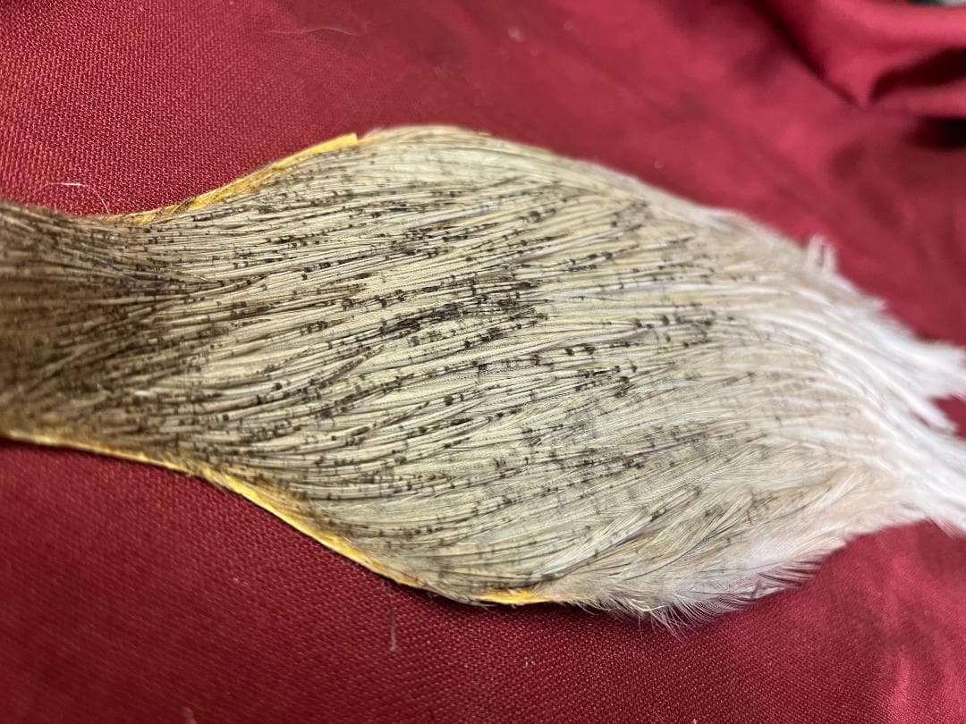 Met'sハックル　ケープ